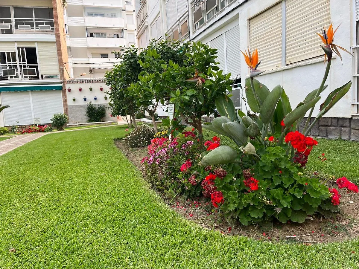 Delfin Verde Benalmádena España